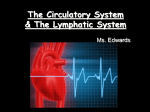 Unit 2 The Circulatory System and The Lymphatic System