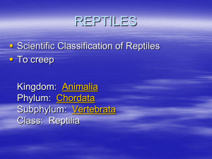 reptiles - TeacherWeb