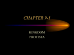 CHAPTER 9-1