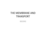 THE MEMBRANE AND TRANSPORT