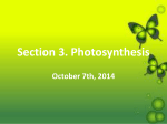 Section 3. Photosynthesis - 6thgrade