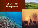 Ch 3: The Biosphere