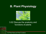 3.02 Plant parts