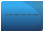 Energy Balance Lecture - Jacqueline Farralls Portfolio