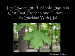 The Sweet Stuff: Maple Syrup in Our Past, Present, and Future…. It`s