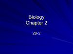 Biology Chapter 2 - secondary
