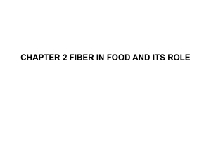 Fiberin food File