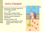 Active Transport - PickensAPBiology