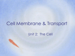Cell - Cobb Learning