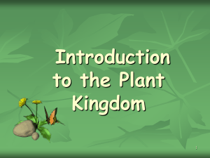 Introduction to plants