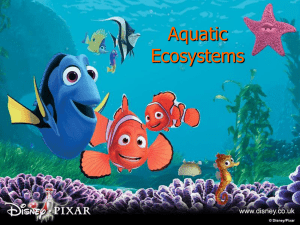 Aquatic Ecosystems 1