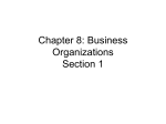 Chapter 8: Business Organizations Section 1