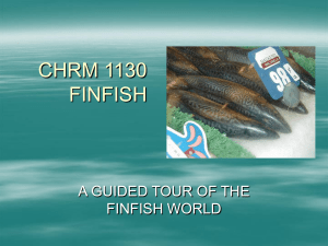 CHRM 1130 finfish - Faculty Site Listing