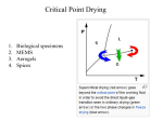 Chapter 28 - UF Physics