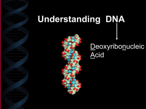 DNA and RNA