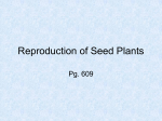 Reproduction of Seed Plants