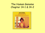 HUMAN GENETICS