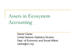 Assets in Ecosystem Accounting