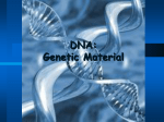 DNA - Wsfcs