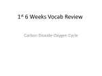 1st 6 Weeks Vocab Review