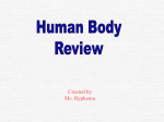 Human Body