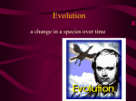 Evolution _20103