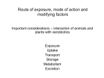 Route of exposure, mode of action and modifying factors