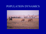 POPULATION DYNAMICS