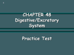 Ch 48 Digestive system