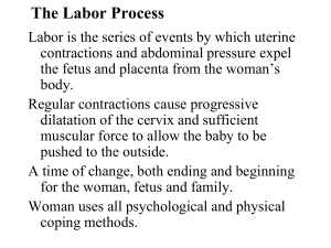 Components of Labor