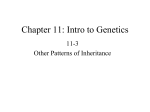 Chapter 11: Intro to Genetics