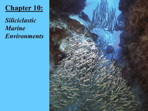 Chapter 10: Siliciclastic Marine Environments The Shelf