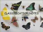 CLASSIFICATION NOTES