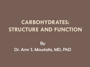 Carbohydrates structure and FunCTION