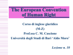 The European Convention of Human Rights The European Court of