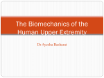 Upper extremity Biomechanics