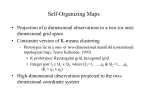 Self-Organizing maps - UCLA Human Genetics