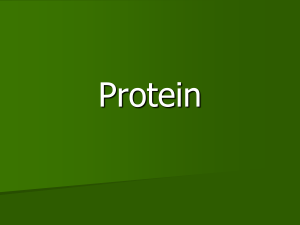 Protein - Canon-MacFCS