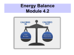 Student Module_4-2_Energy_Balance
