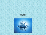 Nutrition10_Water