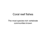 Coral reef fishes, 9..