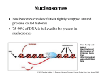 Dinucleotide patterns and nucleosome positioning