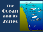 Ocean Zones - Earth Science With Mrs. Locke