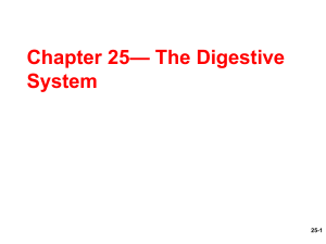 Ch25-Digestive-System