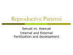 Reproductive Patterns