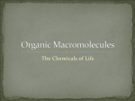 Organic Macromolecules