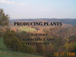 producing plants - Free Teachers Resources