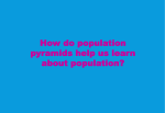 How do population pyramids help us learn