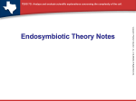 What is the endosymbiotic theory?
