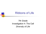 Ribbons of Life